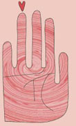 palm 1